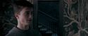 OdF-Potterish_5420.jpg