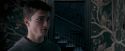 OdF-Potterish_5428.jpg