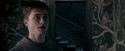 OdF-Potterish_5436.jpg