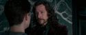 OdF-Potterish_5469.jpg