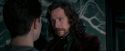 OdF-Potterish_5472.jpg
