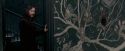 OdF-Potterish_5531.jpg