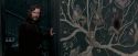 OdF-Potterish_5532.jpg