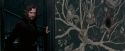 OdF-Potterish_5533.jpg
