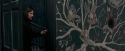 OdF-Potterish_5534.jpg