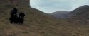 OdF-Potterish_5578.jpg