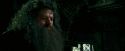 OdF-Potterish_5624.jpg