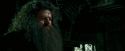 OdF-Potterish_5626.jpg