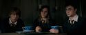 OdF-Potterish_5672.jpg