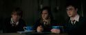 OdF-Potterish_5681.jpg