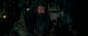 OdF-Potterish_5682.jpg