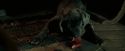 OdF-Potterish_5702.jpg