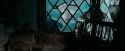 OdF-Potterish_5725.jpg