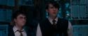 OdF-Potterish_5877.jpg