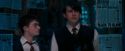 OdF-Potterish_5882.jpg