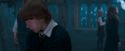 OdF-Potterish_5979.jpg