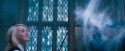 OdF-Potterish_5987.jpg