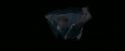 OdF-Potterish_6035.jpg