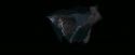 OdF-Potterish_6037.jpg