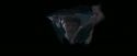 OdF-Potterish_6038.jpg