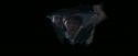 OdF-Potterish_6039.jpg