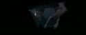 OdF-Potterish_6040.jpg
