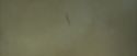 OdF-Potterish_6050.jpg