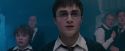 OdF-Potterish_6065.jpg