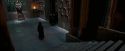 OdF-Potterish_6307.jpg