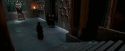 OdF-Potterish_6308.jpg