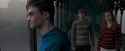 OdF-Potterish_6373.jpg