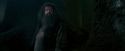 OdF-Potterish_6422.jpg