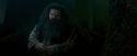 OdF-Potterish_6442.jpg