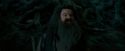 OdF-Potterish_6451.jpg