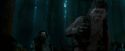 OdF-Potterish_6574.jpg