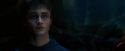 OdF-Potterish_6624.jpg