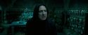 OdF-Potterish_6673.jpg