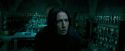 OdF-Potterish_6674.jpg