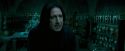 OdF-Potterish_6676.jpg
