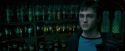 OdF-Potterish_6680.jpg