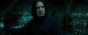 OdF-Potterish_6681.jpg