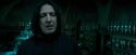 OdF-Potterish_6701.jpg