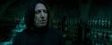 OdF-Potterish_6704.jpg