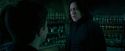 OdF-Potterish_6720.jpg