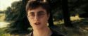 OdF-Potterish_6753.jpg