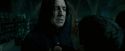 OdF-Potterish_6782.jpg