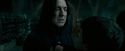 OdF-Potterish_6783.jpg