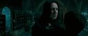 OdF-Potterish_6788.jpg