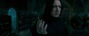 OdF-Potterish_6793.jpg