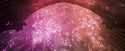 OdF-Potterish_6955.jpg